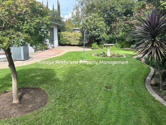 Building Photo - First Time On The Rental Market! Single St...