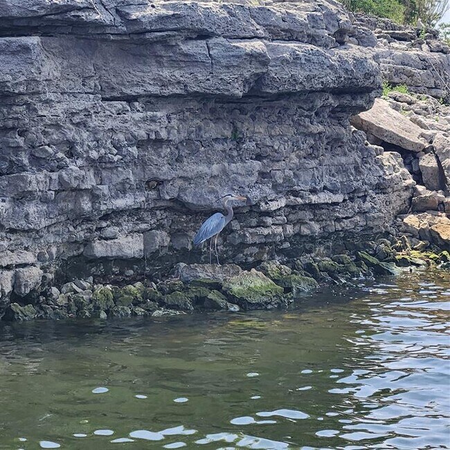 Building Photo - 3404 American Dr