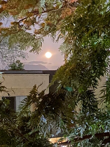 Building Photo - 5257 Radford Ave