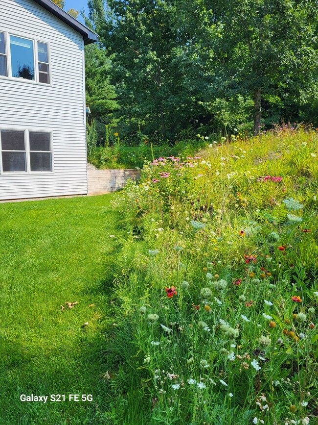 Eastern Slope outside Bedroom - 433 E Sleights Rd