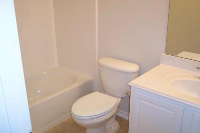 Building Photo - 135 Gallery Cove Ct