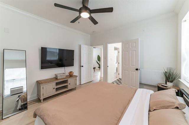 Building Photo - 616 Lebeau St