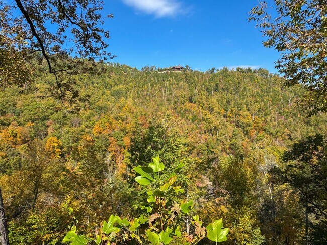 Building Photo - PEACEFUL LIVING.....SECLUSION