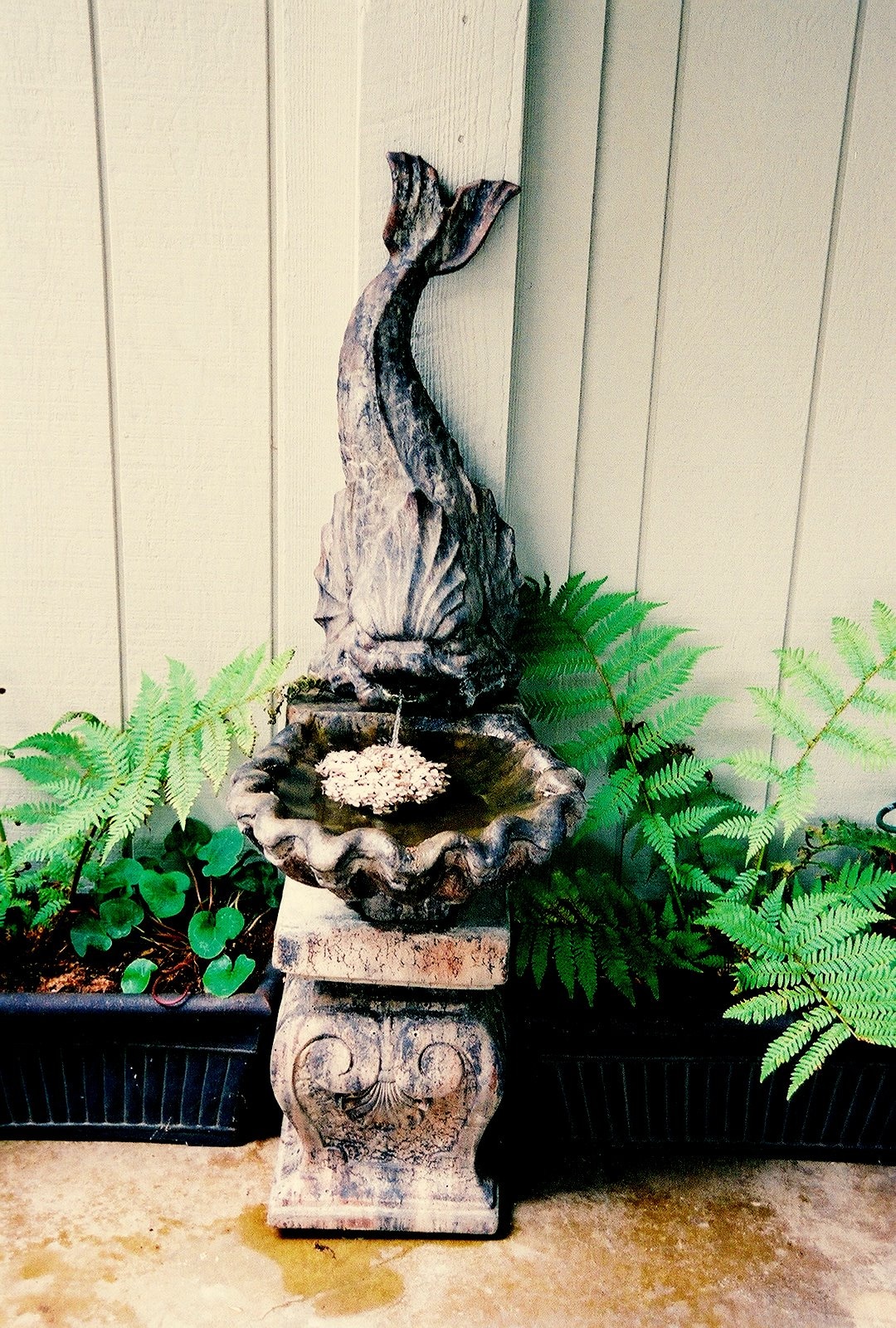 Fountain in Entry - 137 4th St