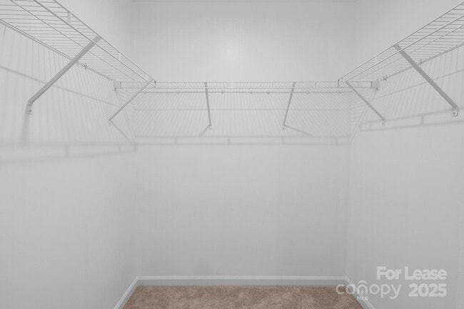 Building Photo - 2715 Sydney Overlook Ln