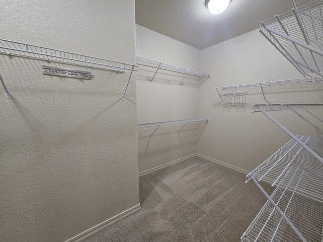 Building Photo - 1255 Woodmoor Acres Dr