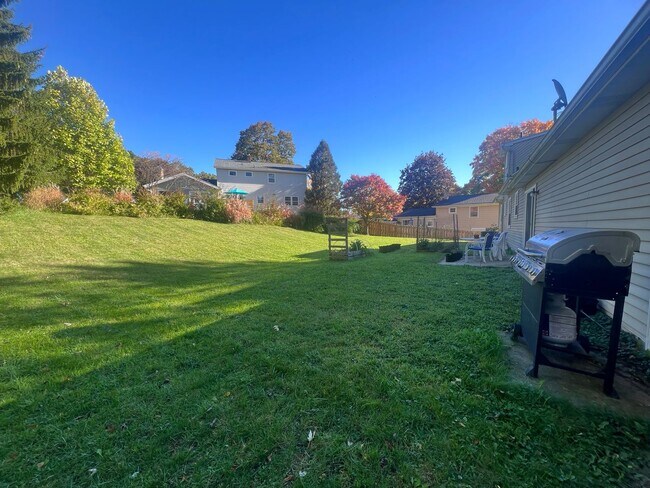 Building Photo - Four Bedroom Home in Forest Hills Schools!