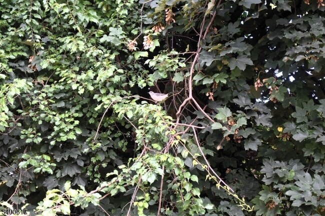 Building Photo - 129 Central Pl