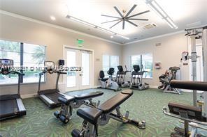 Building Photo - 4830 Navali Dr