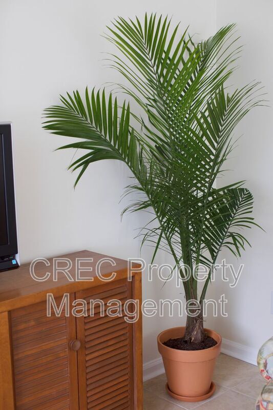 Building Photo - 637 Baytree Ct