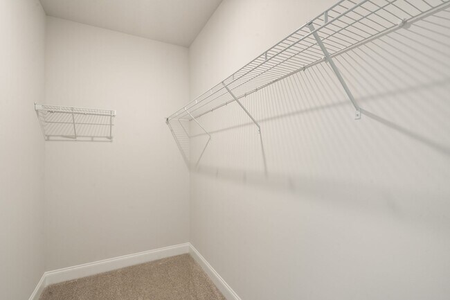 Building Photo - 337 Crosswinds Dr