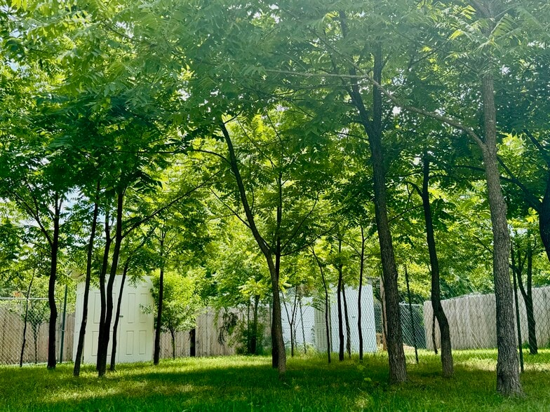 Apt. Yard - 2437 Jaguar Rd