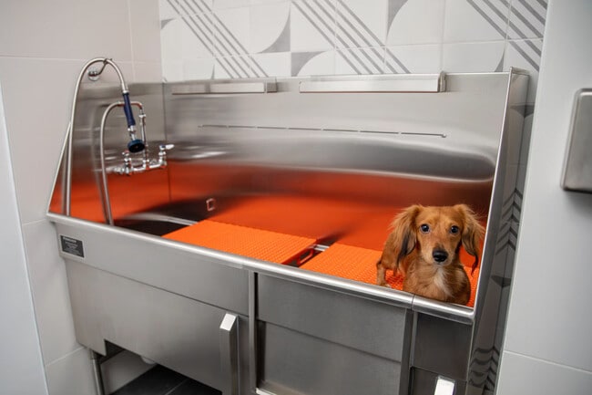 Building Photo - 79 Alexander St