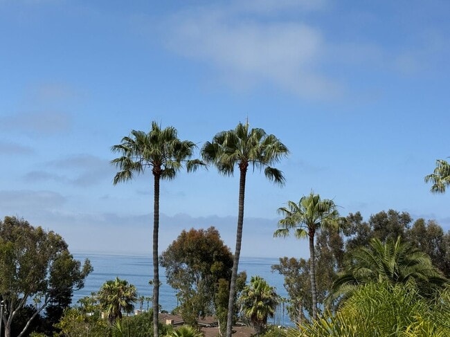 Building Photo - 30802 S Coast, D6