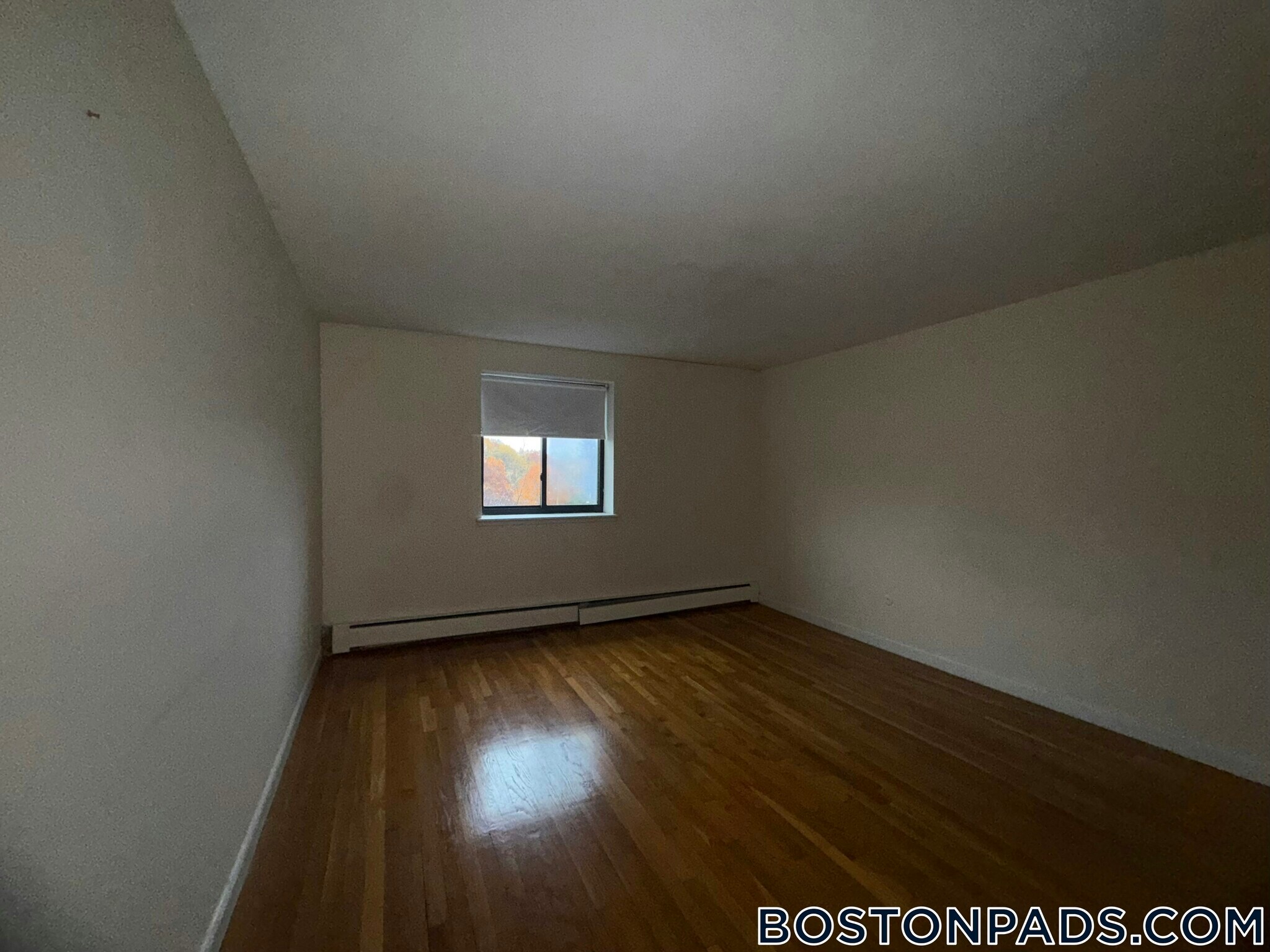 Building Photo - 66 Homer Ave