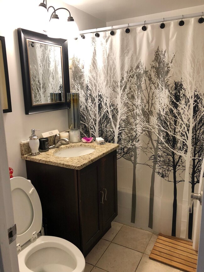 Bathroom - 1501 South George Mason Drive