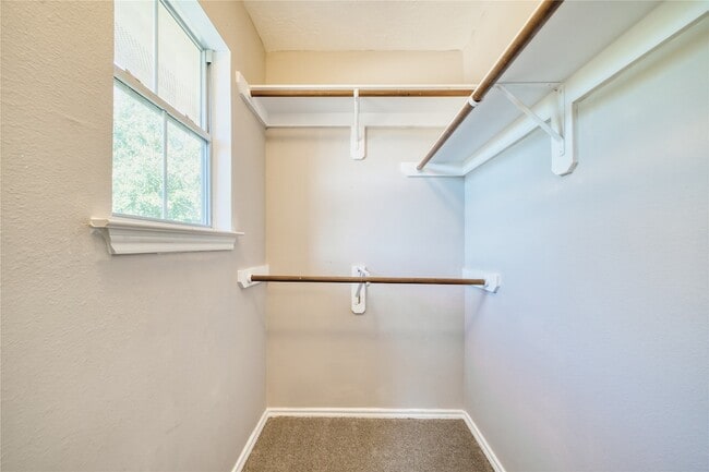 Building Photo - 2907 Hackamore Hollow Ln