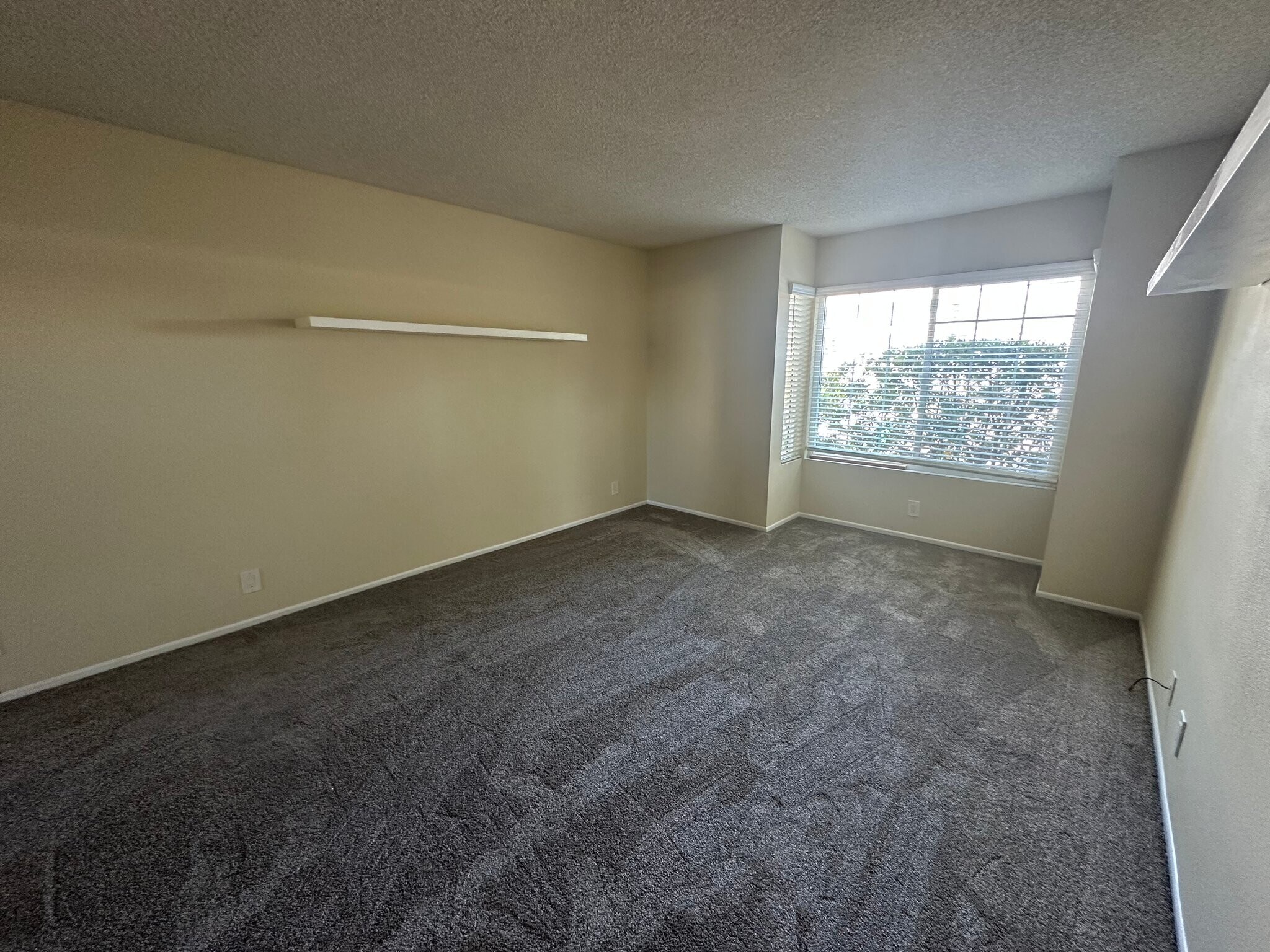 Building Photo - 5893 Mt Alifan Dr