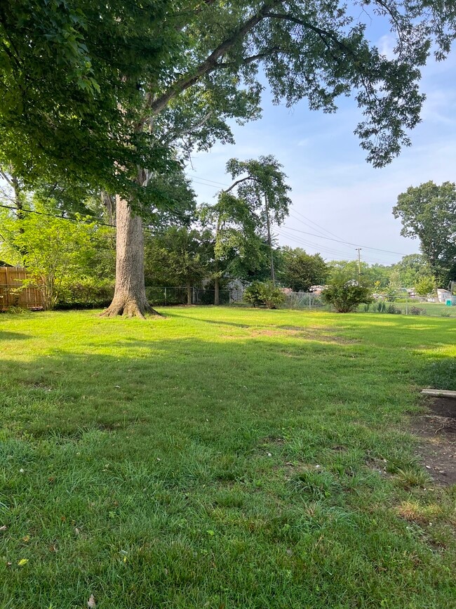 Fenced Back Yard - 2207 Manlyn Rd