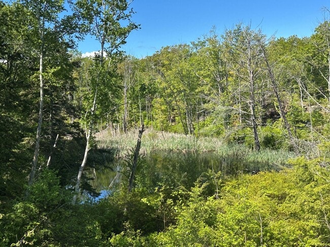 Building Photo - Newly Renovated Winter Rental on a Private...