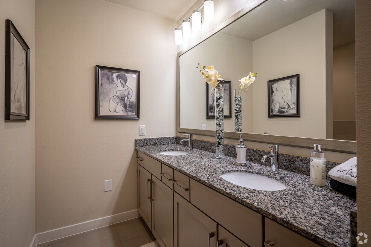 2900 West Dallas Montrose Apartments Houston Tx Apartment Finder