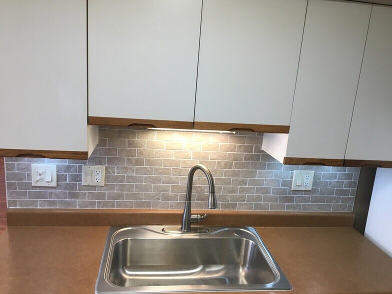 Kitchen_new_sink - 353 Ashwood Ct