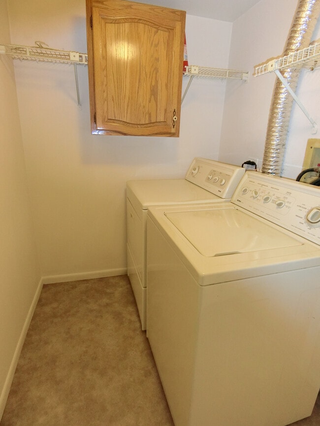 Building Photo - 905 Sturnbridge Ct