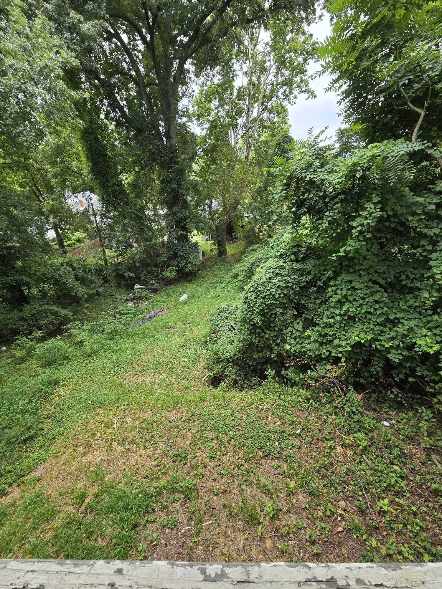 Building Photo - 1925 Foster Ave