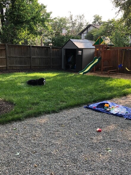 Plenty of areas for your pup to relax! - 1235 S University Blvd