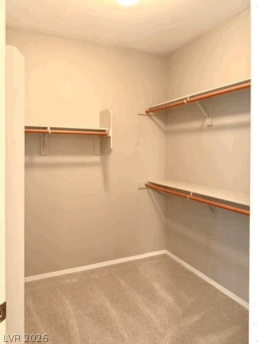 Building Photo - 821 Glacier Peak Ln