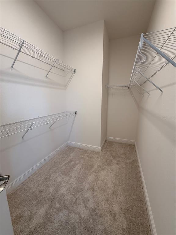 Building Photo - 5146 Buttonsage Dr