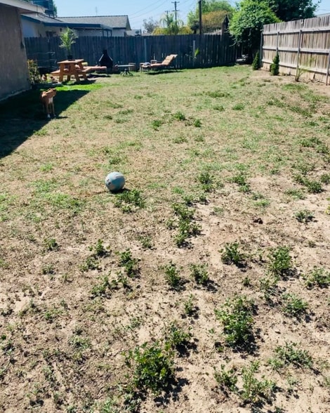 Building Photo - 441 W Burlwood Ln