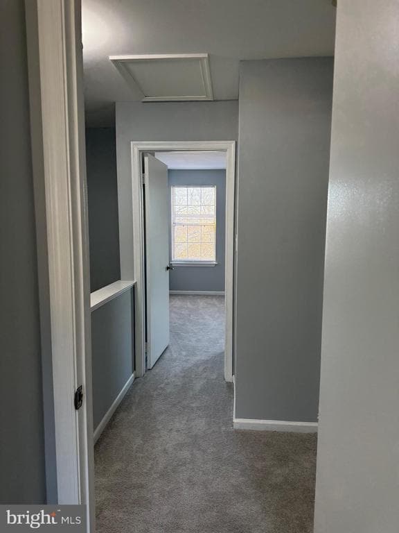 Building Photo - 1935 Winslow Ct