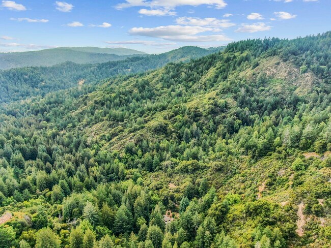 Building Photo - 975 Logan Creek Rd