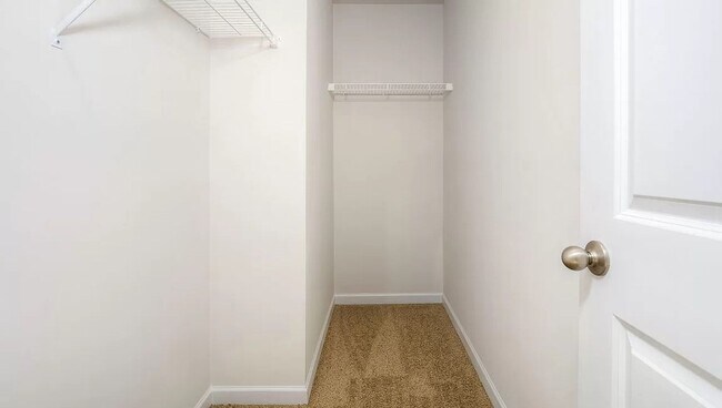 Building Photo - Spacious Newer Construction In Candler