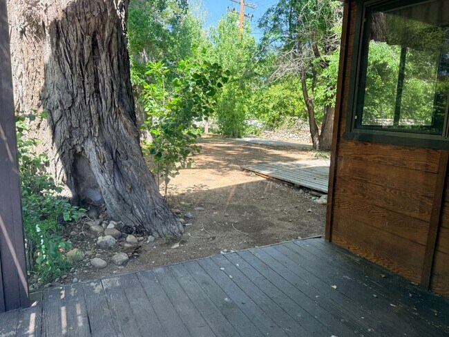 Building Photo - 4 Bed 2.5 Bath House with yard in McLaren Ranch