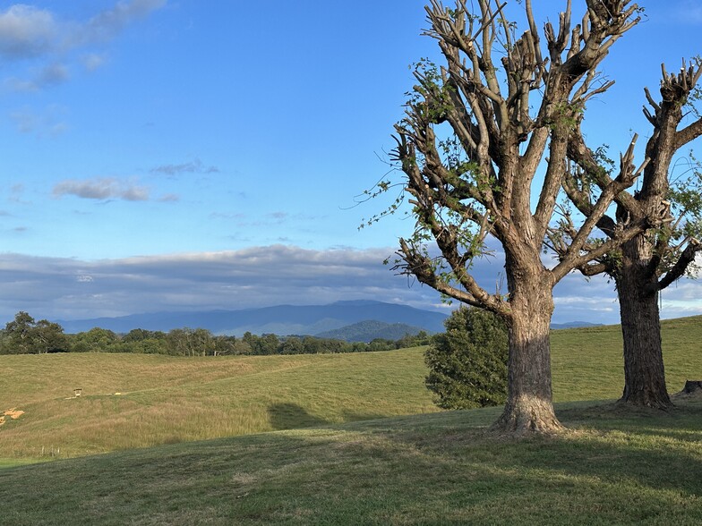 View from yard - 3655 W Allens Bridge Rd