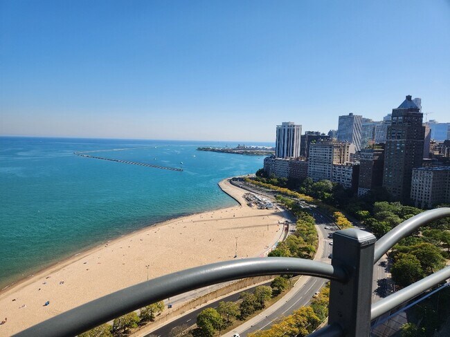 Building Photo - 1150 N Lake Shore Dr