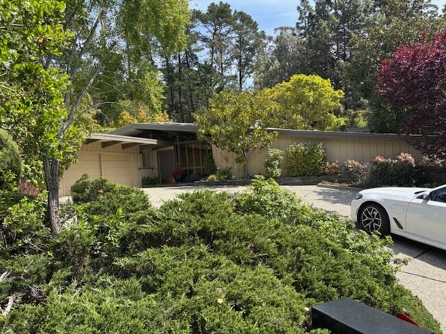 Primary Photo - Beautiful Unique Home in the Oakland Hills