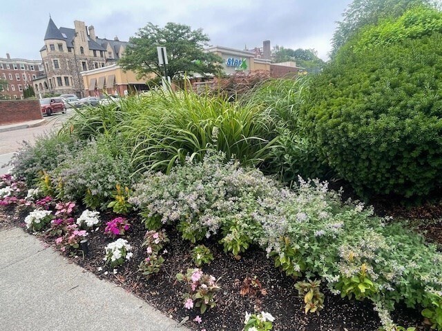 Building Photo - 1731 Beacon St