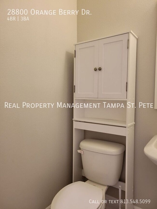 Building Photo - 28800 Orange Berry Dr