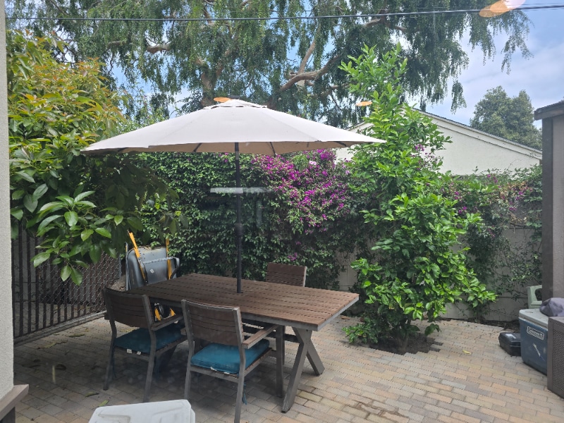 Building Photo - 212 Michael Ave