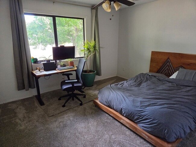 Building Photo - COMING IN SEPTEMBER! East Flagstaff Home w...