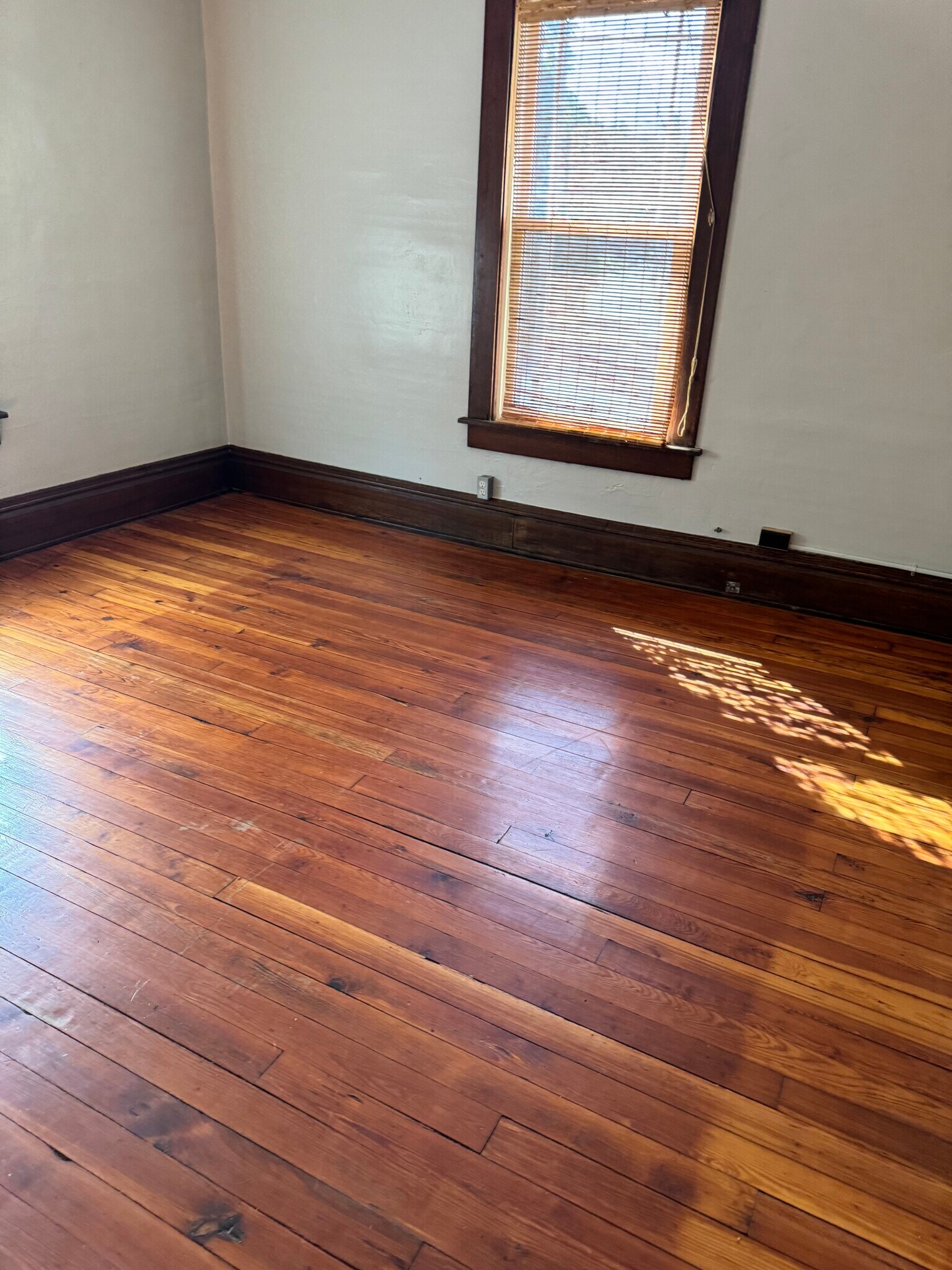 Building Photo - 119 Butternut Ave