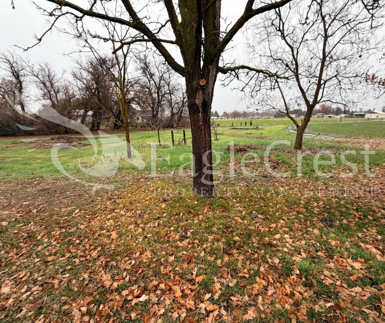 Building Photo - Renovated 3 Bedroom 2.5 Bath Country Home with Mountain Views & Wrap Around Porch!!