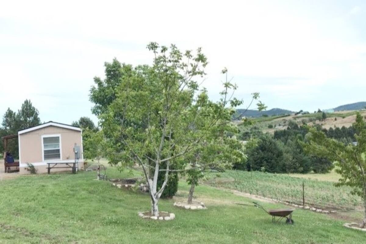 Building Photo - 2365 Washington St