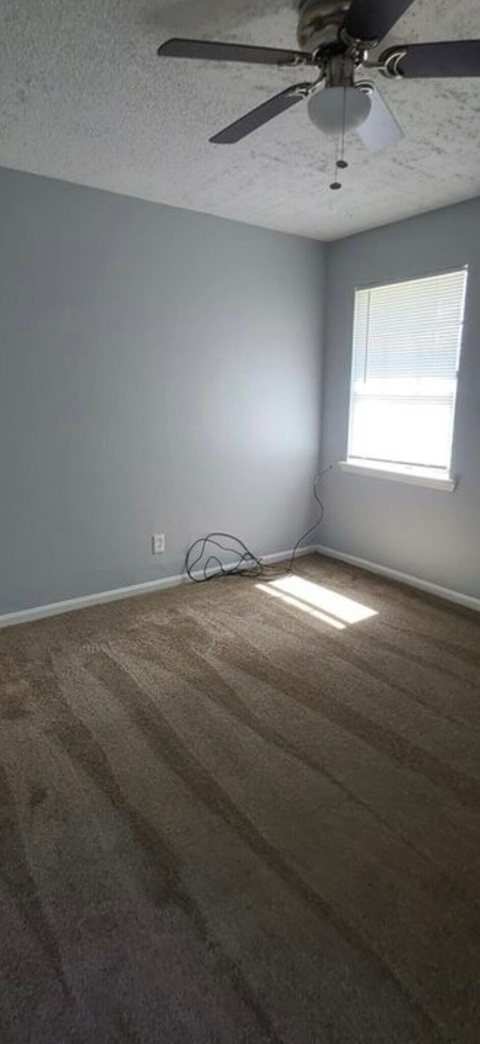 Building Photo - 1205 Bethune St