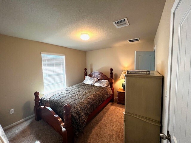 Building Photo - 223 Camellia Dr