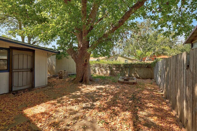 Building Photo - Spacious 3/2 home in South Austin