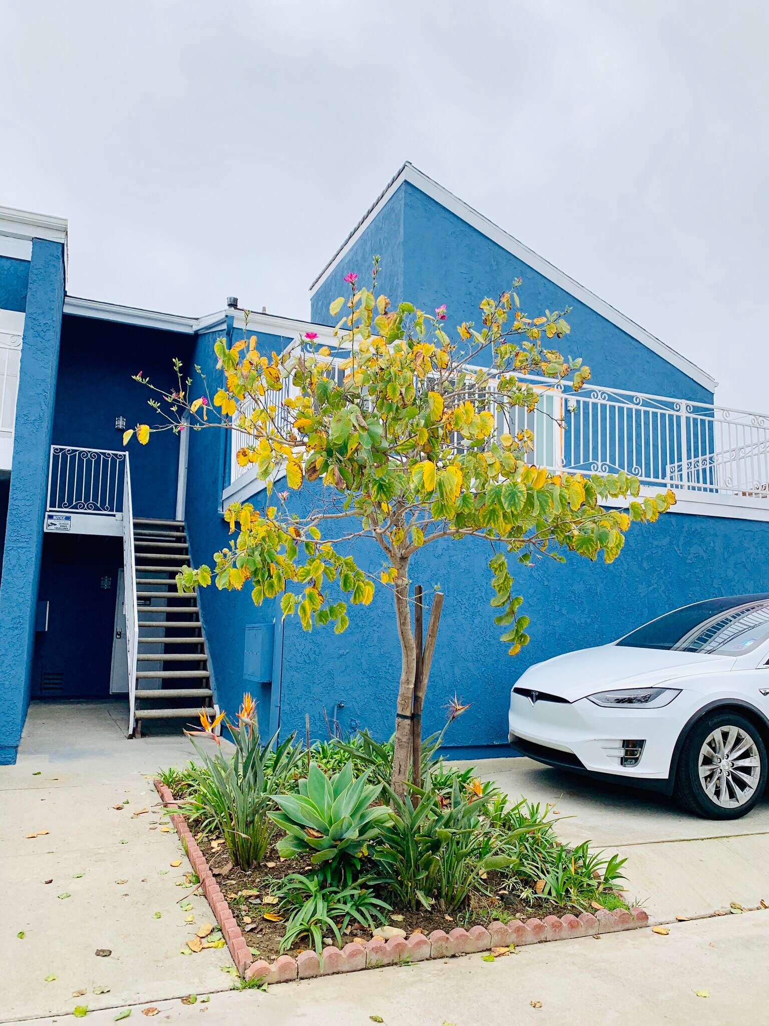 Building Photo - 1419 California St